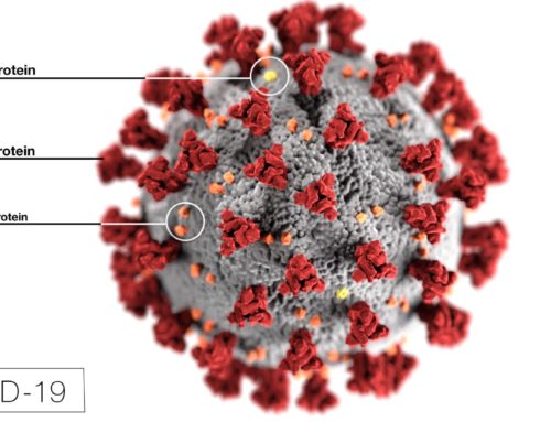 Guidance for Businesses and Employers Impacted by Coronavirus Disease (COVID-19)